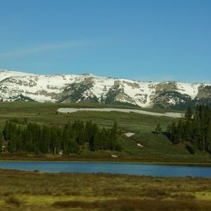 Meet your Posher, Tony